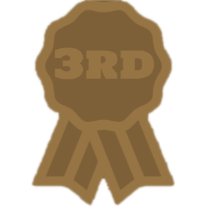 3rd Place Globally
